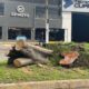 Zapopan identifica más 600 árboles en riesgo durante temporal 2025