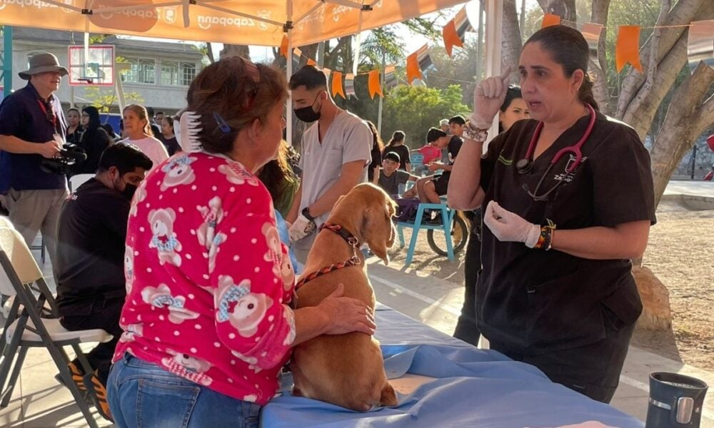 caravanas de salud animal de zapopan