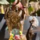 Unidad de Tlajomulco rescata halcón esmerejón
