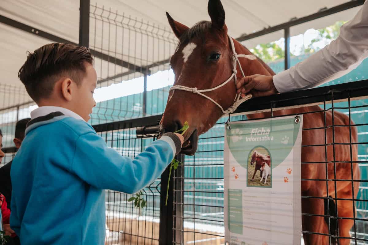 Guadalajara inaugura mini granja y quirófano en su Centro de Bienestar Animal