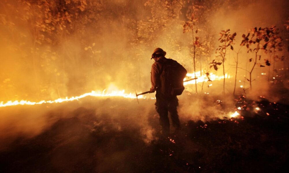 Jalisco se prepara; prevén altas temperaturas e incendios
