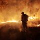 Jalisco se prepara; prevén altas temperaturas e incendios