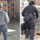 México y EE.UU. incautan 1 tonelada de metanfetaminas