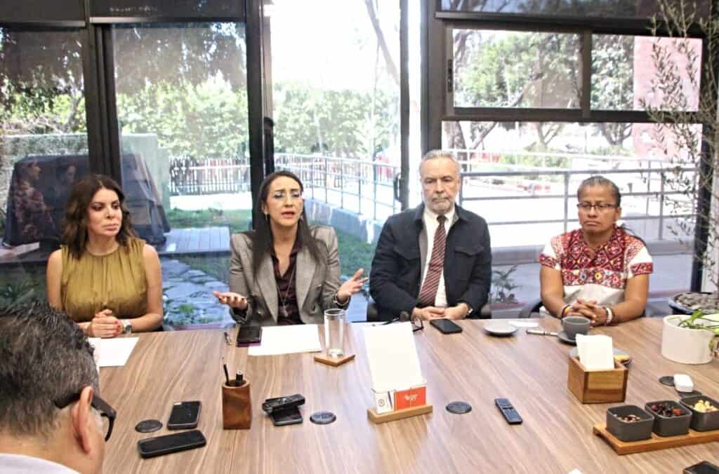 Laura Imelda propone reformar la ley para exigir identificación a pasajeros