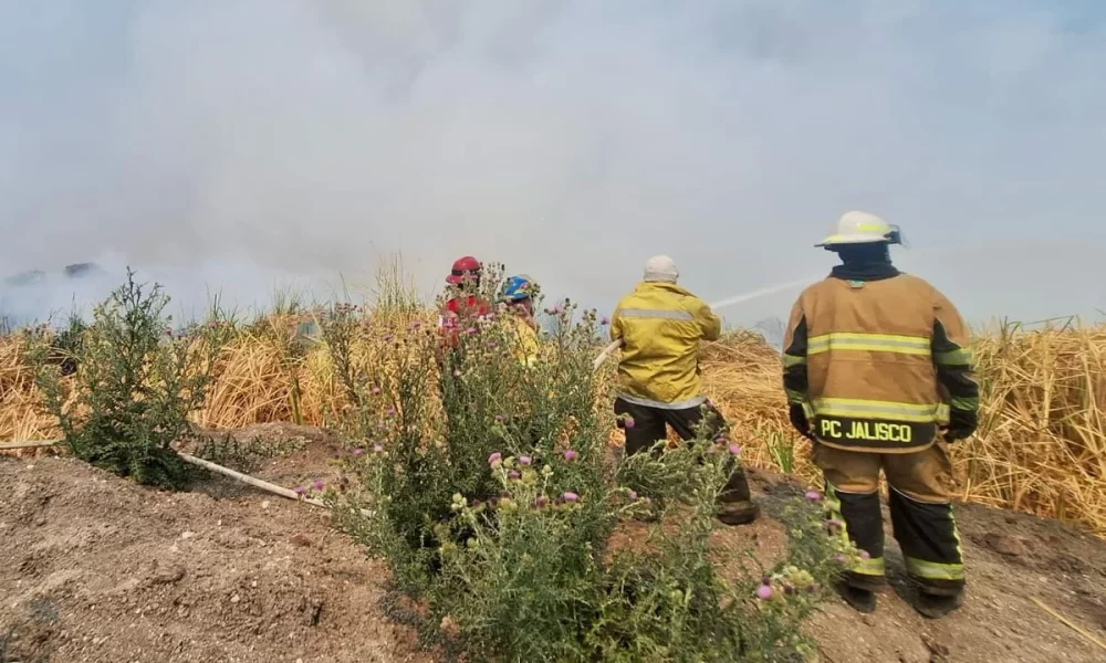 uspenden clases por incendios en El Salto y Tlajomulco
