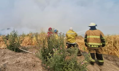 uspenden clases por incendios en El Salto y Tlajomulco