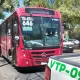 Guadalajara y su transporte público