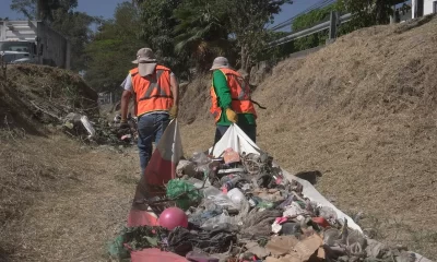 Personal de Zapopan limpia canales