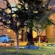 asesinato de madre buscadora