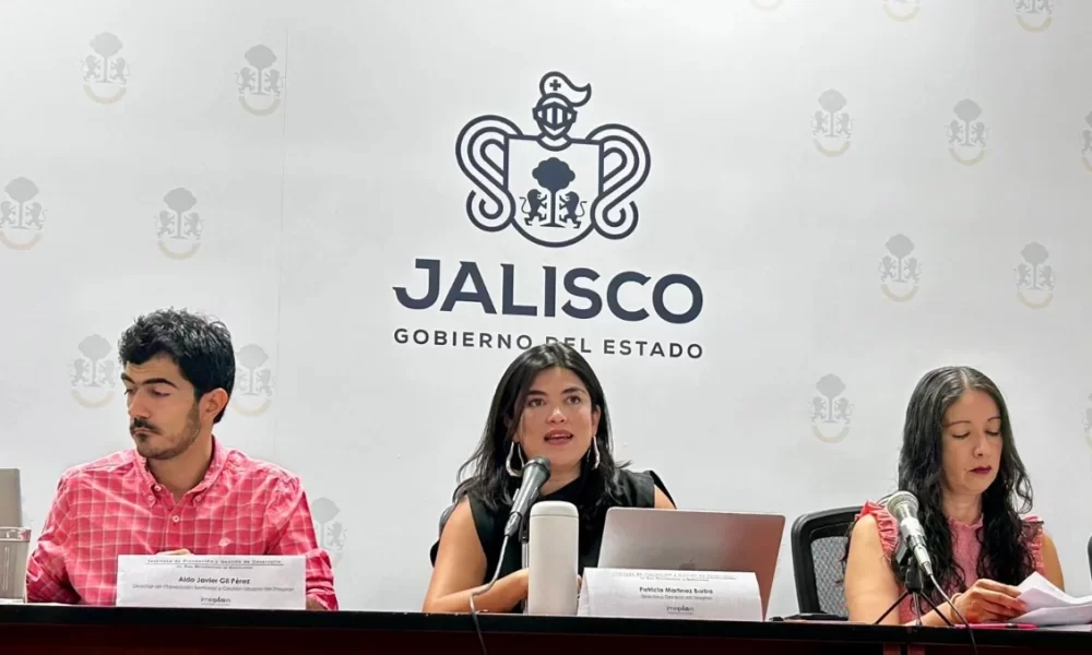La titular del IMPEPLAN es Patricia Martínez Barba