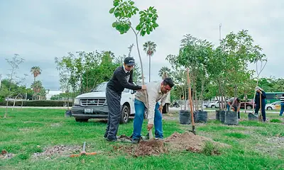 árboles guadalajara