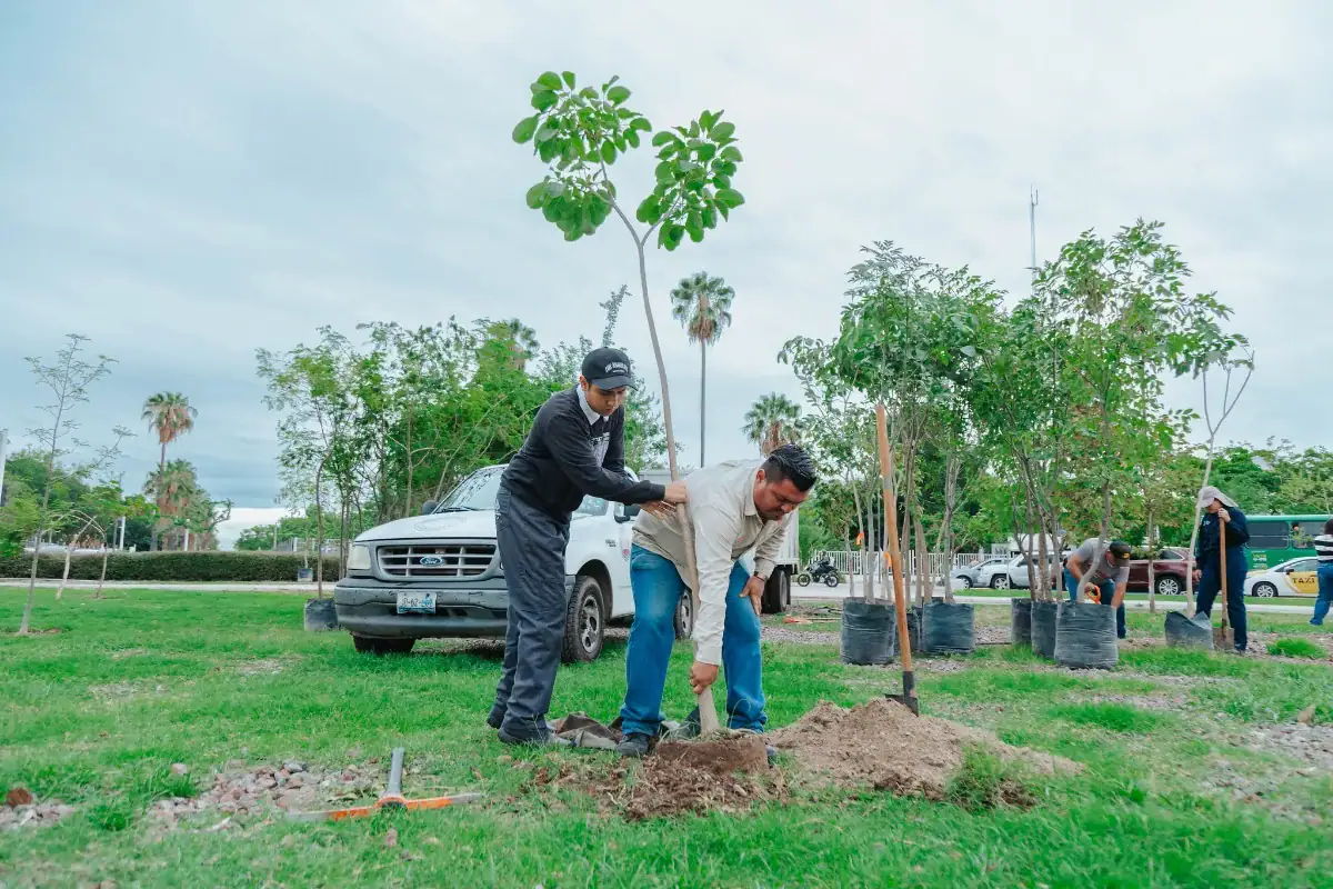 árboles guadalajara