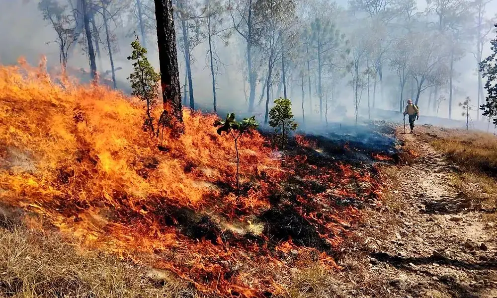 incendios registrados en Jalisco durante el estiaje