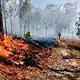 incendios registrados en Jalisco durante el estiaje