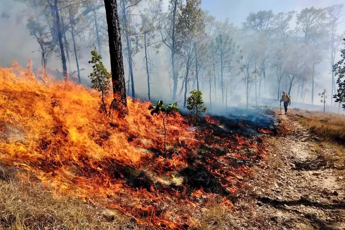 incendios registrados en Jalisco durante el estiaje