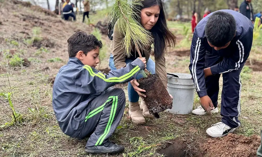 inician programa de reforestación en jalisco