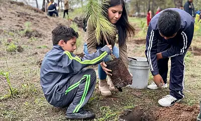 inician programa de reforestación en jalisco