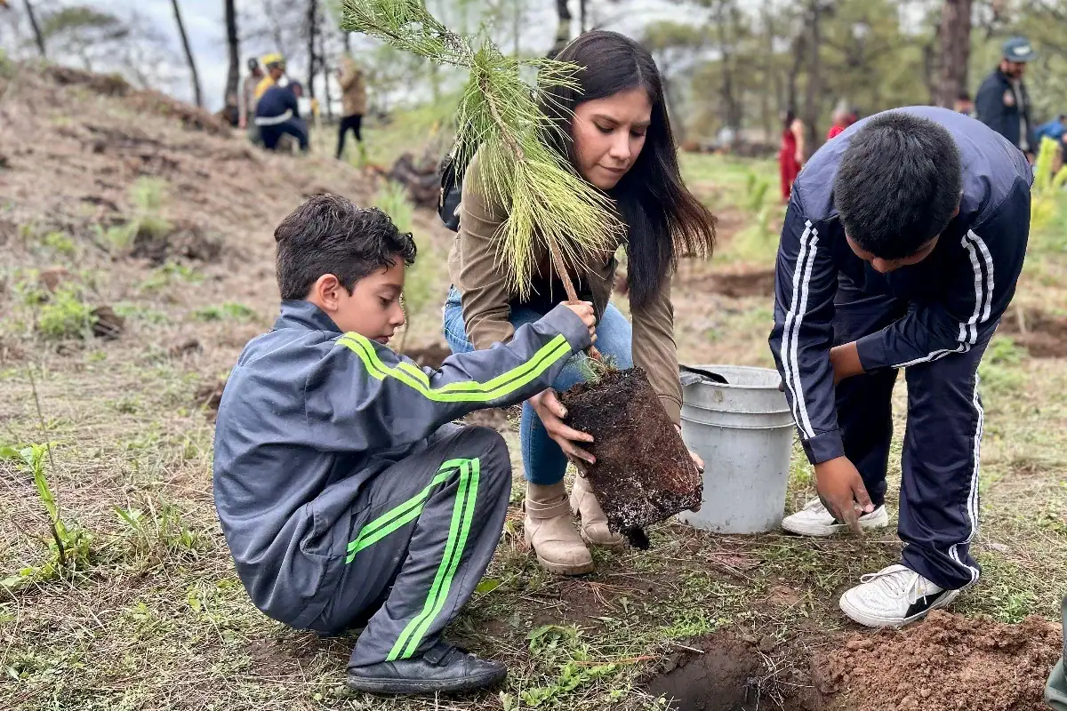 inician programa de reforestación en jalisco