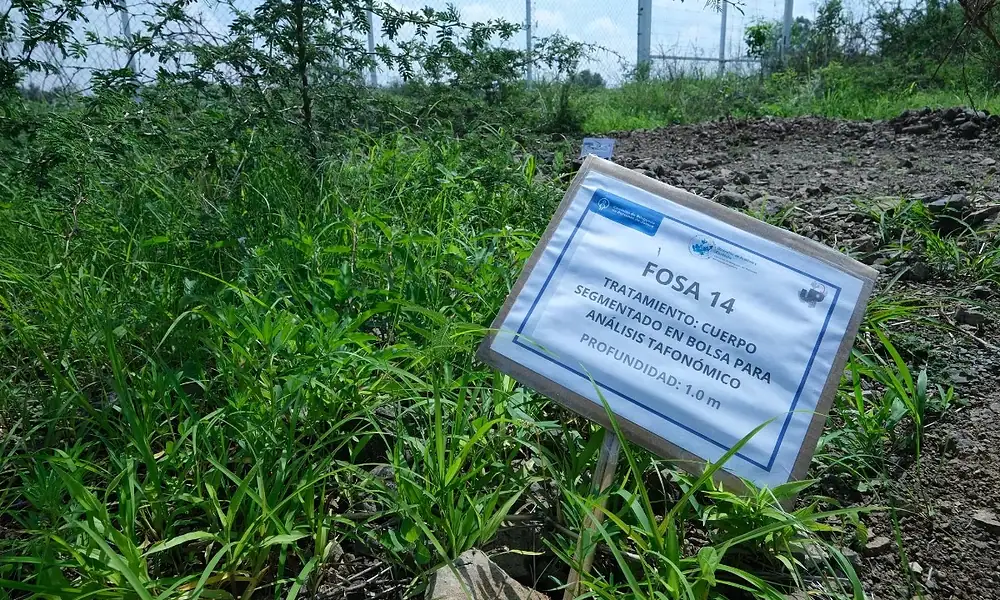 búsqueda de personas en jalisco