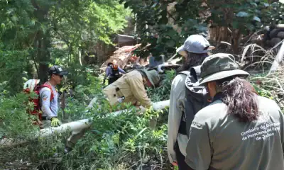 Bomberos de Zapopan trabajan en la localización de Vanessa.