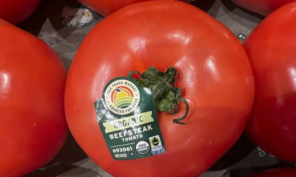 Jitomate mexicano enfrenta arancel en Estados Unidos