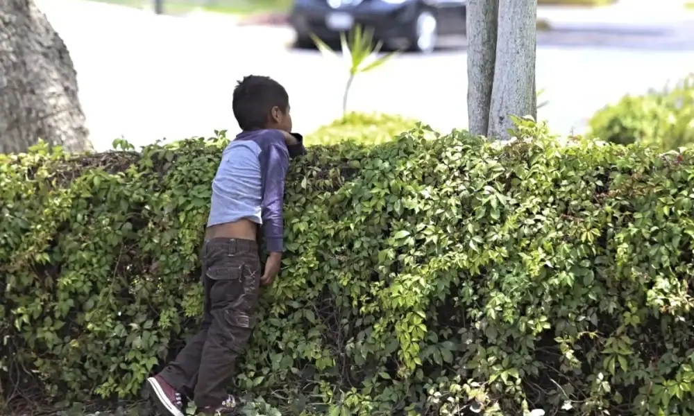 niño en situación de calle en Jalisco