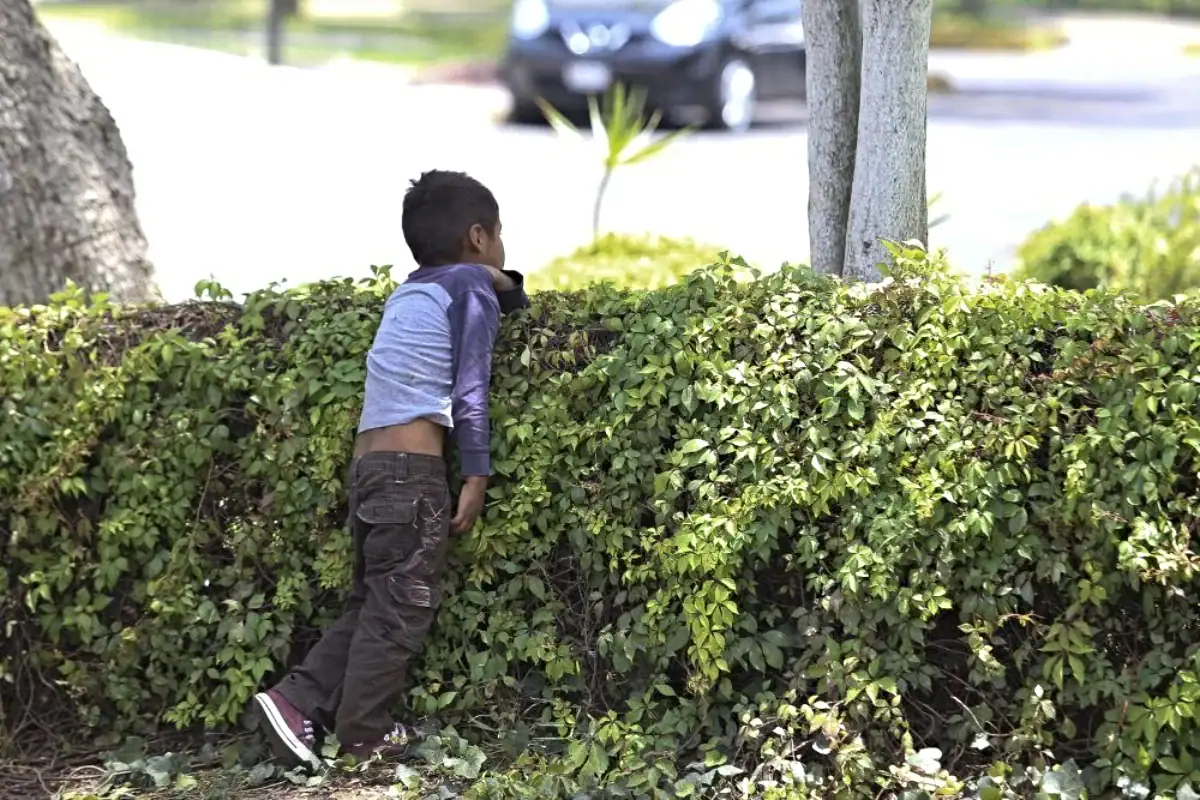 niño en situación de calle en Jalisco