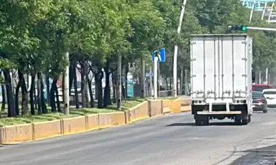 avenida Adolf B Horn