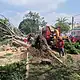 Caen árboles en Zapopan por lluvia