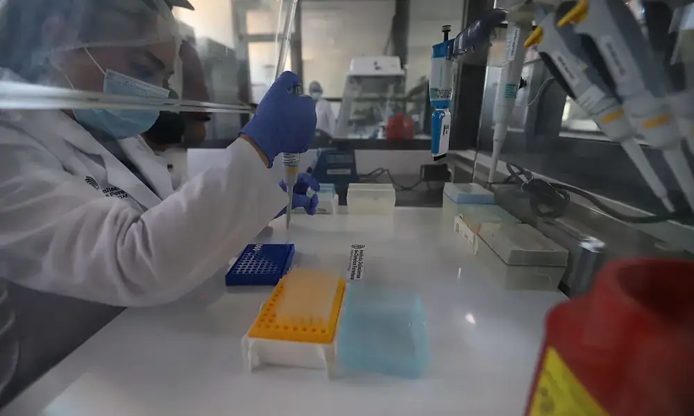 Identificación humana para localizar personas desaparecidas