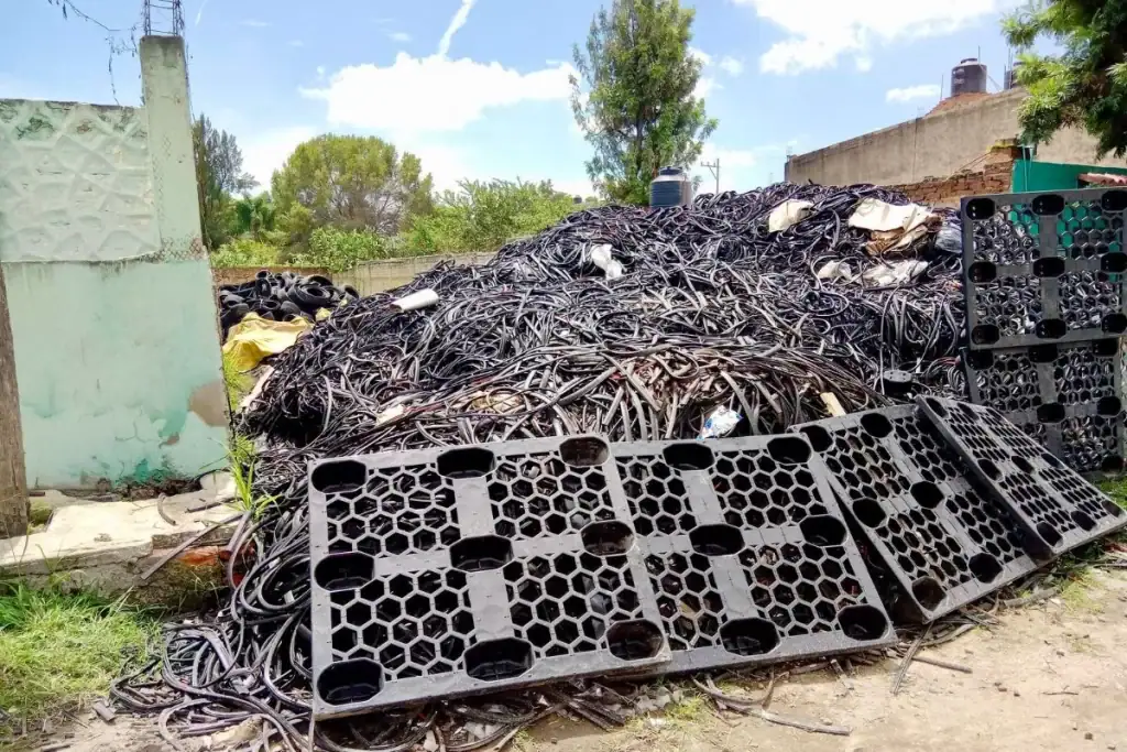 Proepa realiza clausura