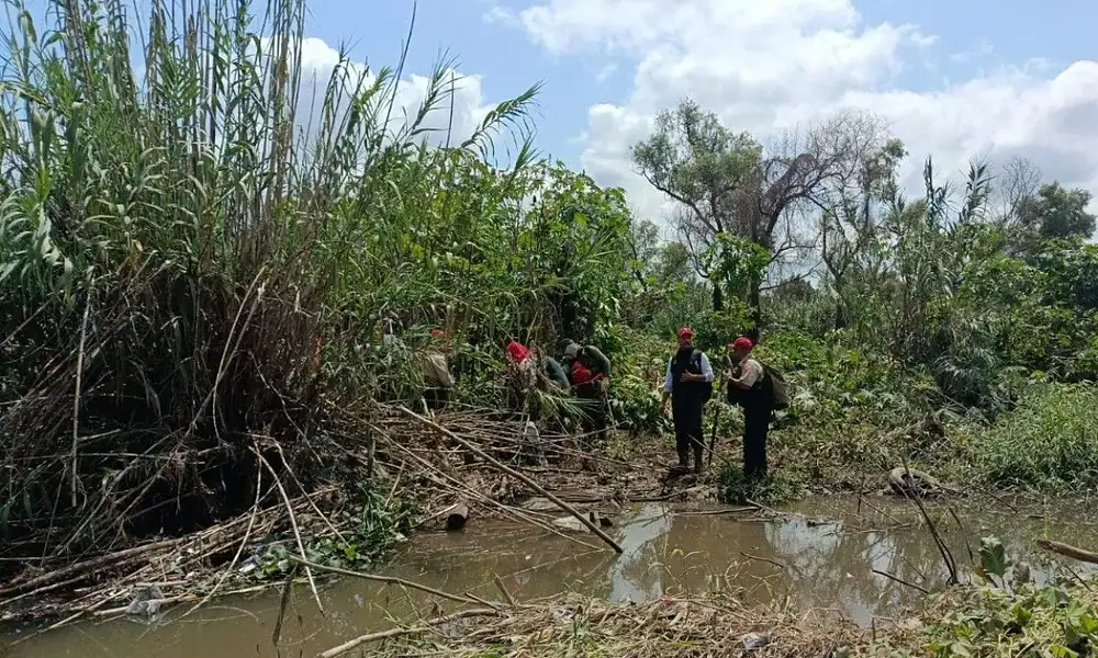 En Jalisco suman 18 muertes por el temporal de lluvias, informó este miércoles (17.09.25) Sergio Ramírez López, director general de la Unidad Estatal de Protección Civil y Bomberos.