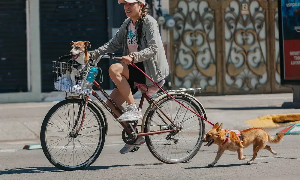 Vía Recreactiva cumple 21 años