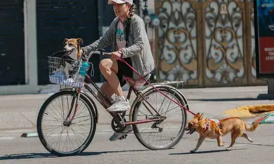 Vía Recreactiva cumple 21 años