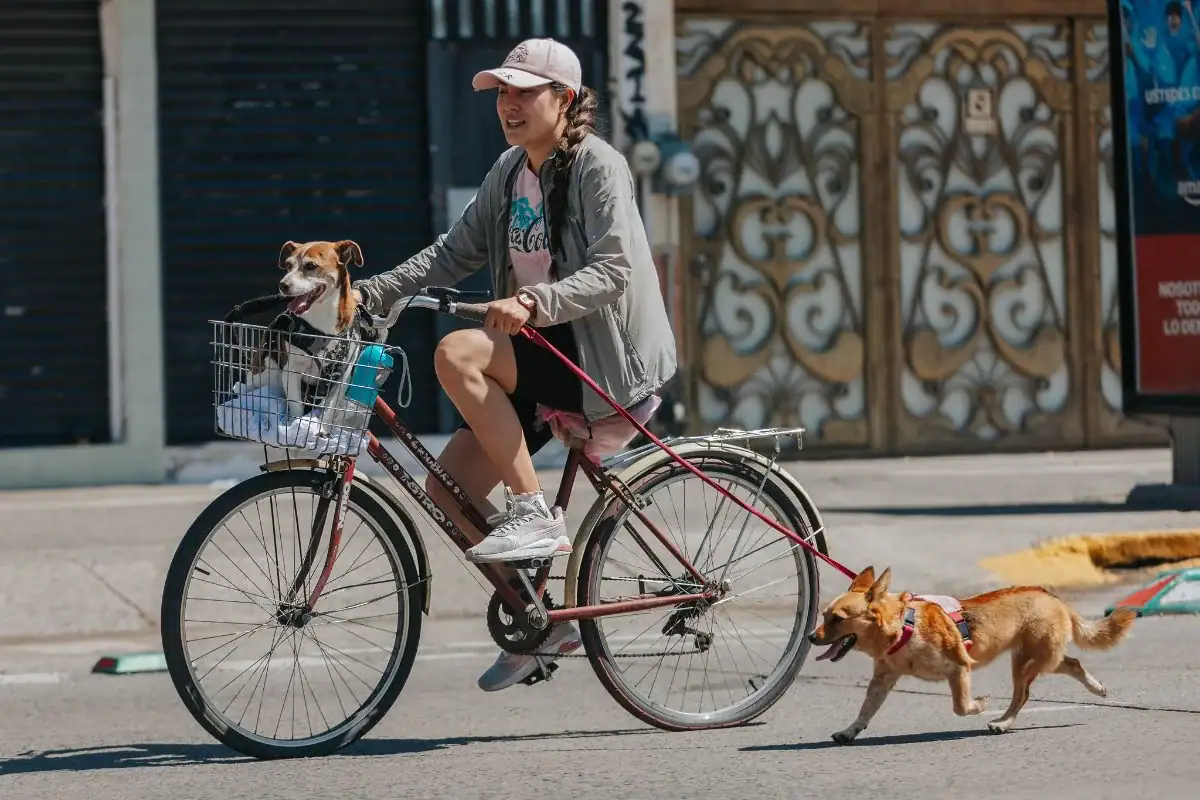 Vía Recreactiva cumple 21 años
