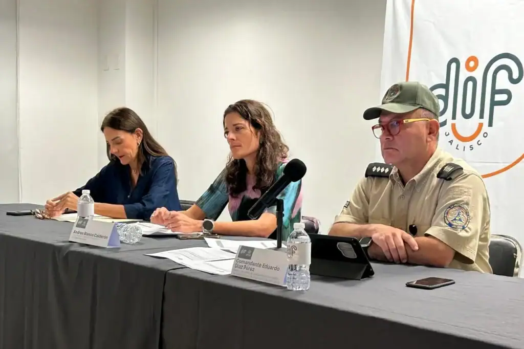 Mil 260 viviendas afectadas por las inundaciones en Puerto Vallarta