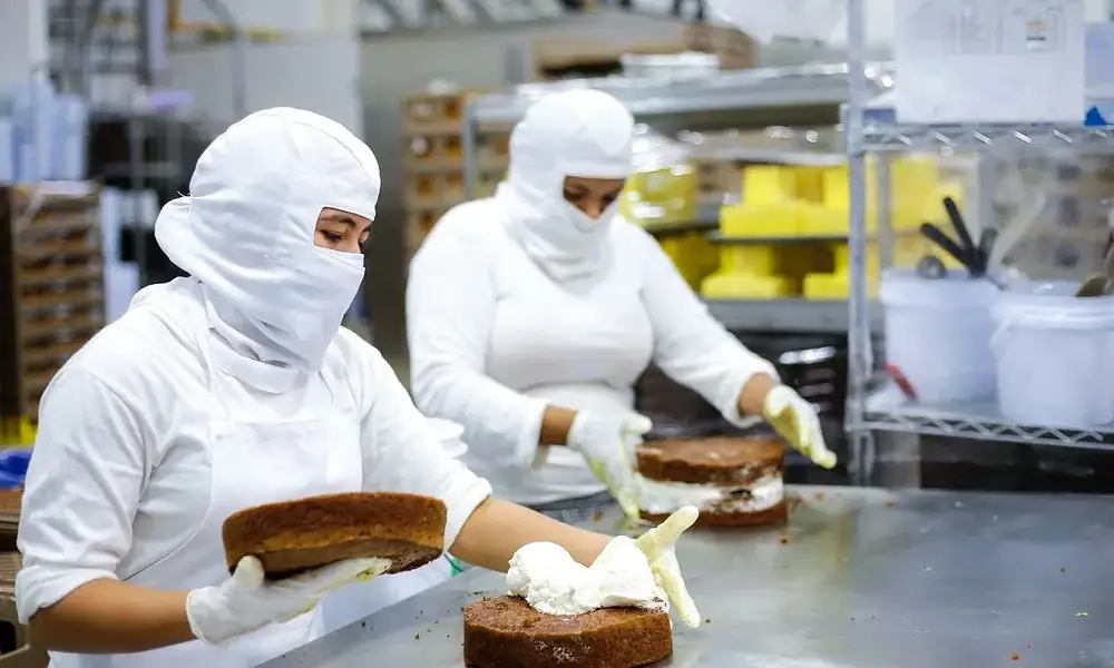 jalisco figura en el top 5 del País por mayor generación de empleo formal