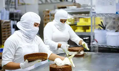 jalisco figura en el top 5 del País por mayor generación de empleo formal