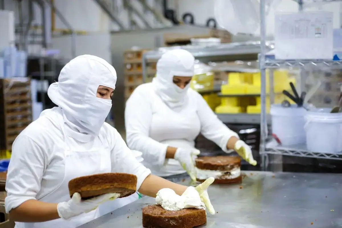 jalisco figura en el top 5 del País por mayor generación de empleo formal