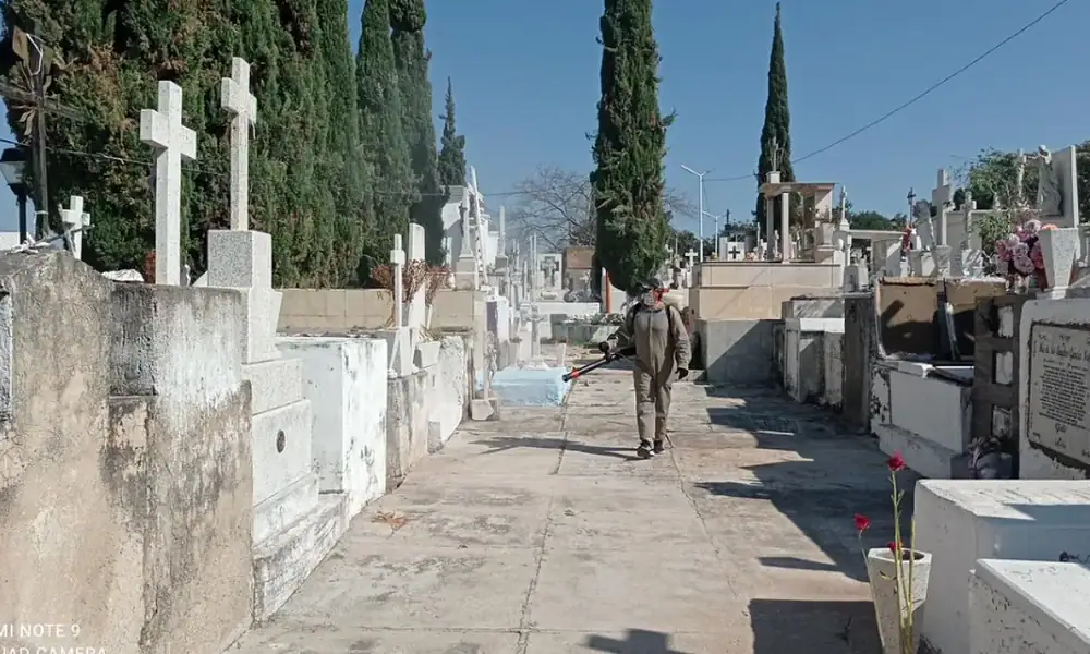 Tumba en cementerio con lápidas y cruces, rodeado de árboles cypress y en un día soleado.