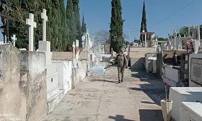 Tumba en cementerio con lápidas y cruces, rodeado de árboles cypress y en un día soleado.
