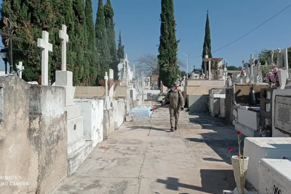 Tumba en cementerio con lápidas y cruces, rodeado de árboles cypress y en un día soleado.