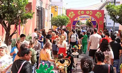 Fiesta tradicional en Santa María La Floresta, celebración colorida con feria y actividades culturales en la calle.
