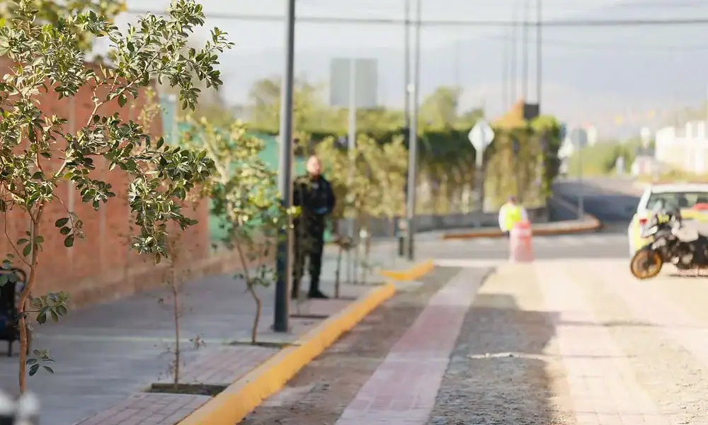 Bosques de Santa Anita