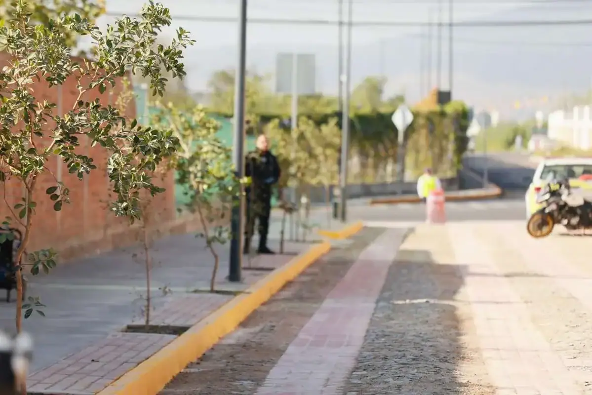 Bosques de Santa Anita