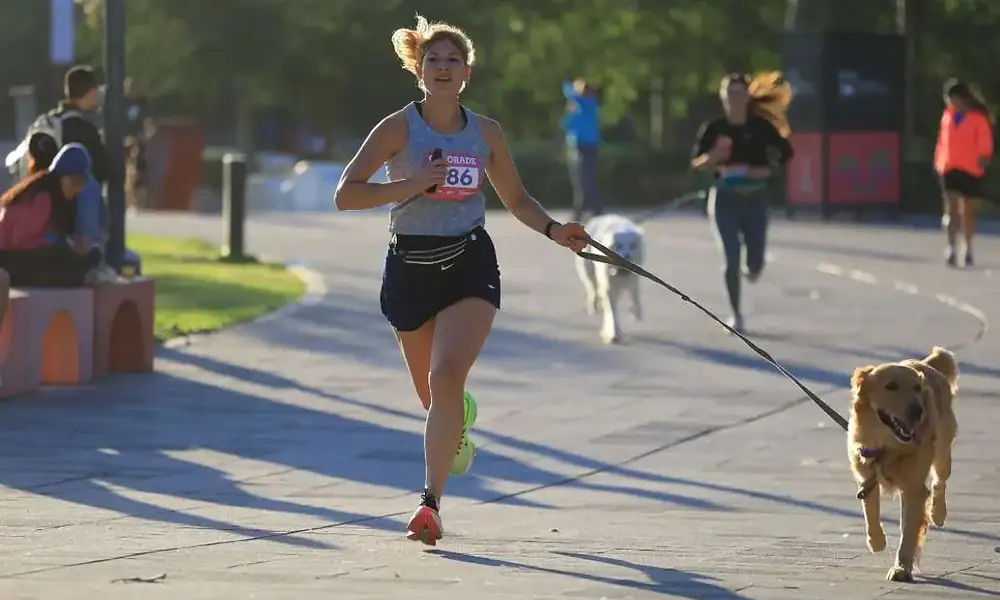 Carreras de perritos en Tlaquepaque
