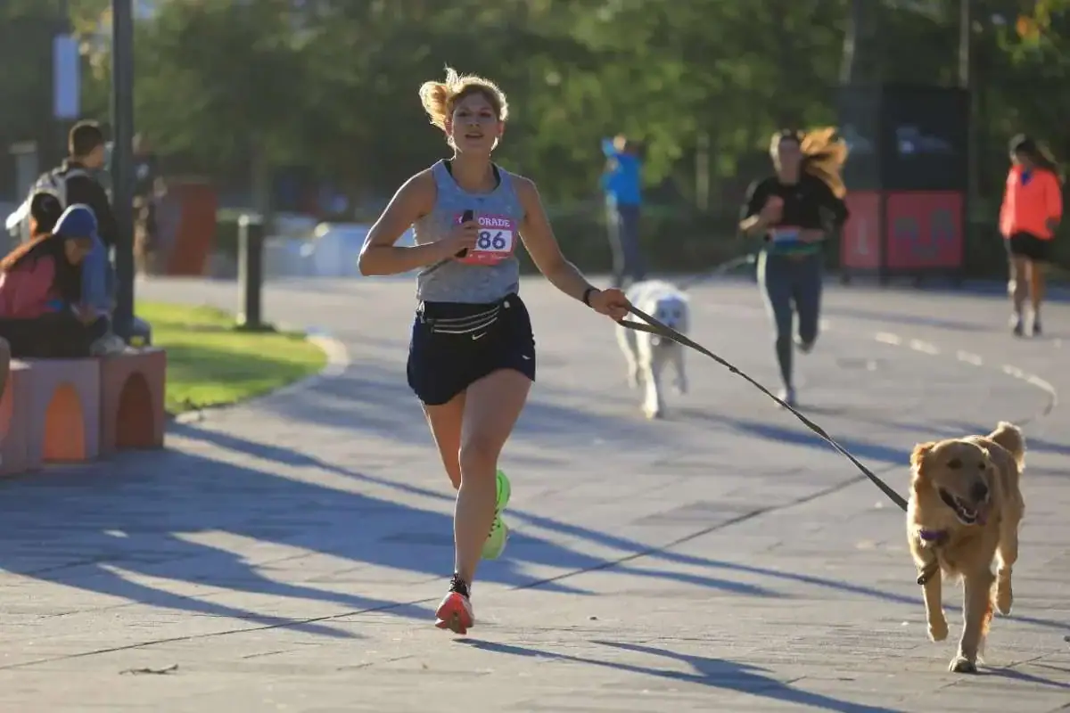 Carreras de perritos en Tlaquepaque