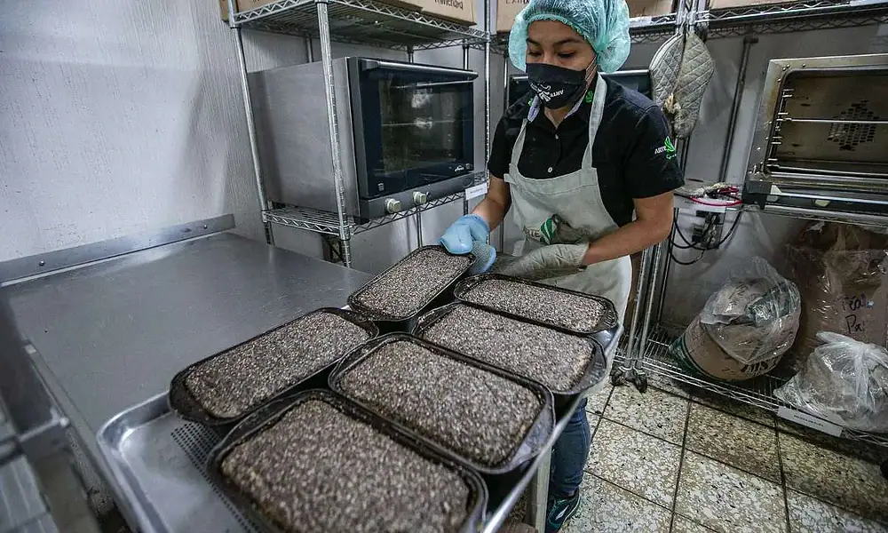 Jalisco se mantiene entre los 10 estados con menor desempleo en el País  