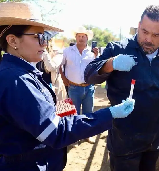 Gusano Barrenador del Ganado en Jalisco