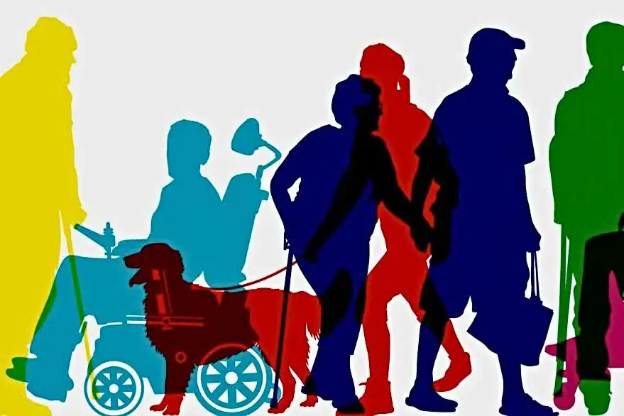 Programa Estatal para la Inclusión de Personas con Discapacidad 2025–2030